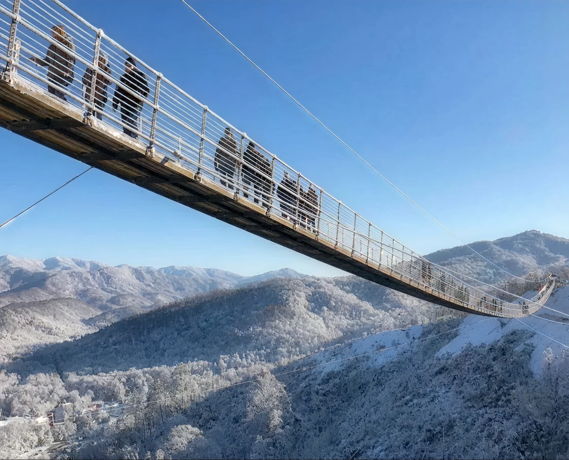 SkyBridge View