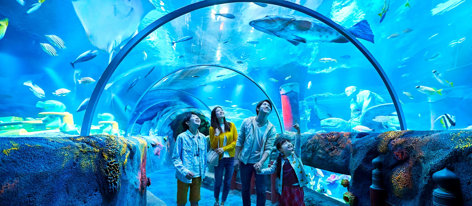 Aquarium Exploration