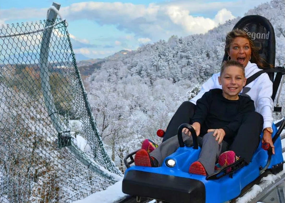 Mountain Coaster